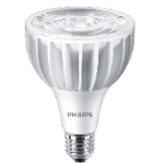 Master LED PAR30L